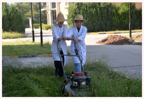 1632791504230263.png image.png