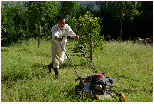 1632791530287108.png image.png